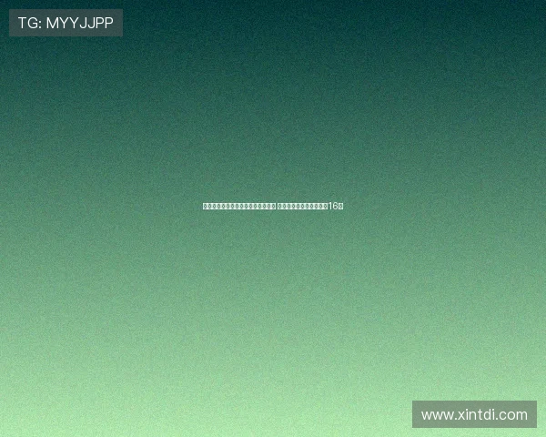 欧洲杯积分榜六支球队全胜保持不败 约基奇字母哥等领军晋级16强